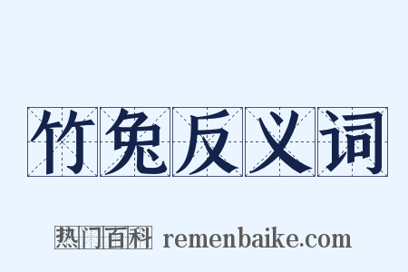 竹兔反义词是什么意思的图片